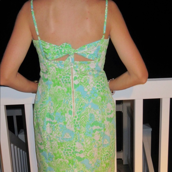 Lilly Pulitzer It’s a Zoo McCallum Dress - Picture 5 of 6